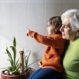 Senior woman with hearing aids playing with her granddaughter